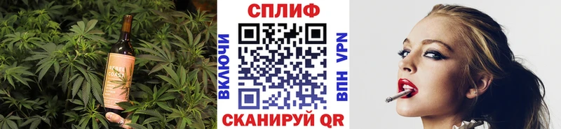где купить наркотик  mega рабочий сайт  Еда ТГК марихуана  Избербаш 