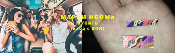 СК Сосновоборск
